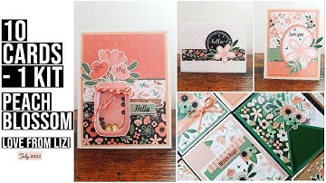 10 Cards 1 Kit | Love From Lizi July 2023 card kit with Alina