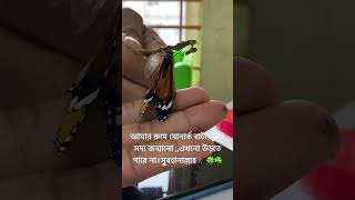 পছন্দ হলে লাইক প্লিজ??