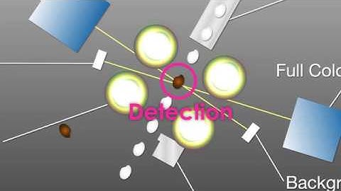 Satake FMS2000 Chute Type Sorter Overview