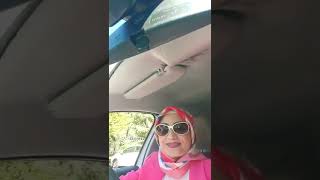 Anadolu Şark Restaurant 0 212 672 08 08 0 212 672 79 79 0 533 425 07 07