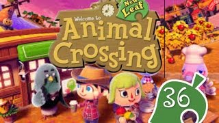 Animal Crossing New Leaf Gameplay~ Episode 36