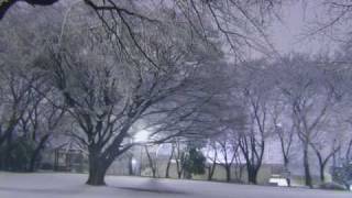 20100211 Tombe La Neige