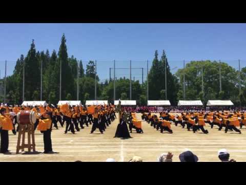 大阪府立旭高校応援団2016〜橙団 獅尽王牙〜