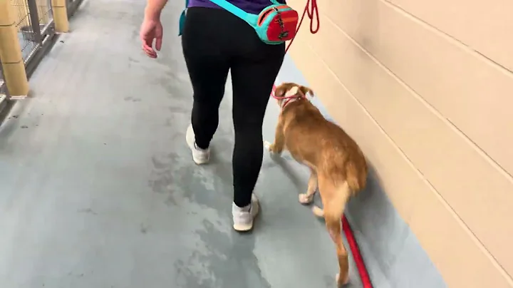 A2046061 Briana (walking the ward)