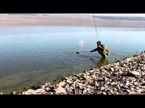 თევზაობა. მეთოდ - ფიდერი VS კოპტონი