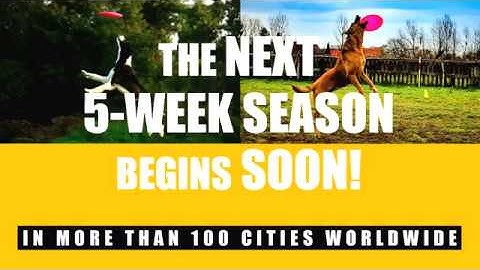 K9 Frisbee Toss & Fetch "Get Ready for League"