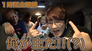 １時間全部虫さんの面白シーン！！【東海オンエア】