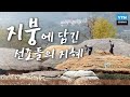 [한국사 探] 지붕에 담긴 선조들의 지혜 / YTN 사이언스