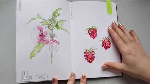 Flip Through: Stillman & Birn Floral Art Journal Part 2/2