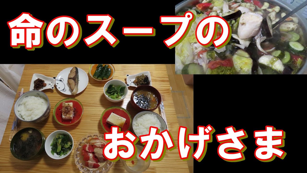 お得】LEC 公務員 青山学院地上スタンダードコース 平成29年 バラ売り