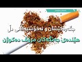 ساڵانە جگەرە کێشان و نەخۆشیەکانی دڵ لە جەنگەکان زیاتر مرڤ ئەمکوژن