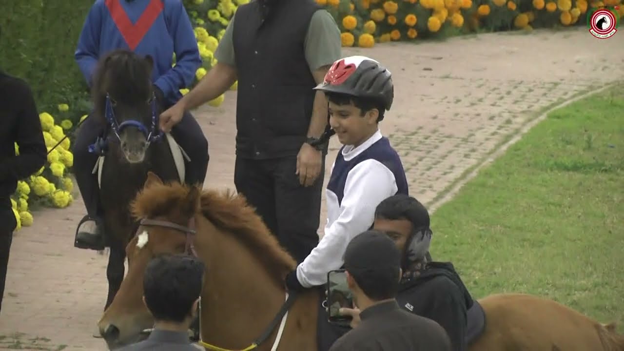 الاجتماع ( 17 ) الشوط ( 5 ) فئة ( البوني ) لفرسان المستقبل