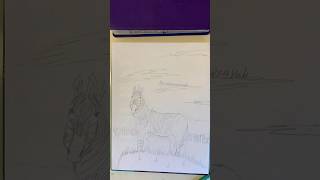 Watch me hand draw a Quagga. #handdrawing #yahuah #youngartist #quagga