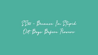 [201004] SS501 - Because I'm Stupid | Lyric [Indo Sub]