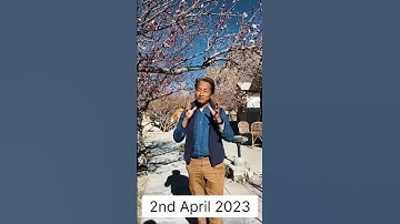 Thumbnail of Apricot Blossom in Sham Valley of Ladakh