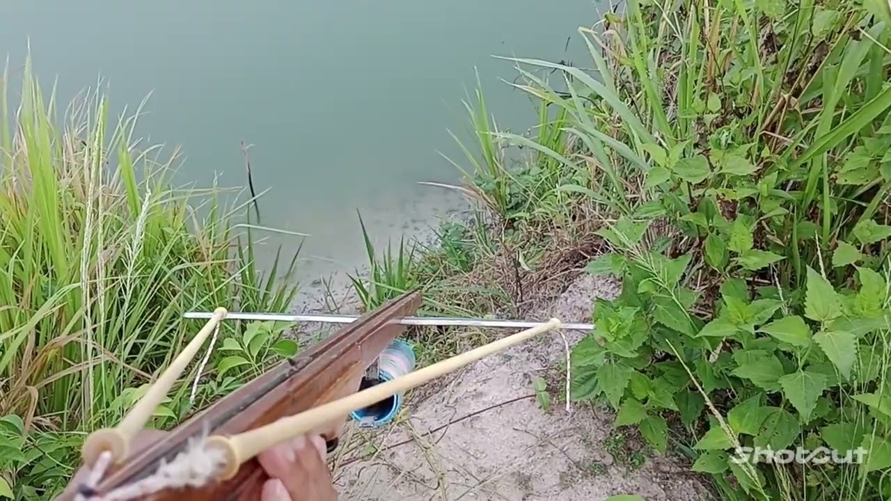 @สายยิ่ง ฝากกดติดตาม  ลูกอีสาน พาลุย บ่าวสน ช่องน้อยใว้ในใน จักช่องแน่ครับผม