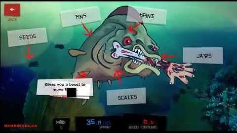 Feed us 2 -- Walkthrough part 1