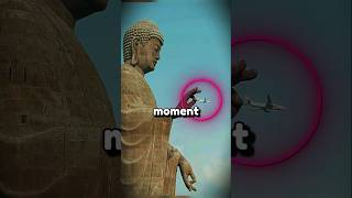 Photos Captured At the Perfect Moment