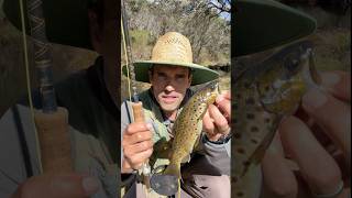 🎣 How to catch & cook a trout in the wilderness 🚙