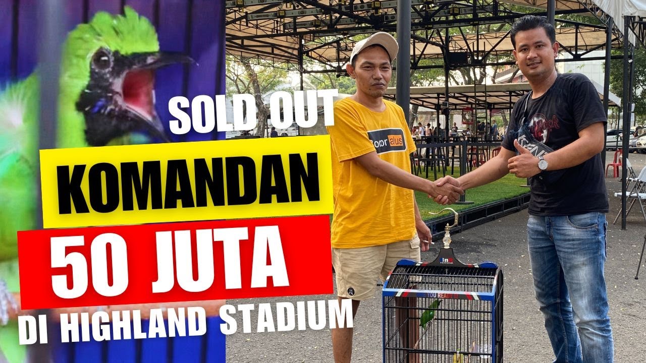 PECAH REKOR😱Cucak Ijo KOMANDAN Sold Out 50 Juta Di HIGHLAND STADIUM
