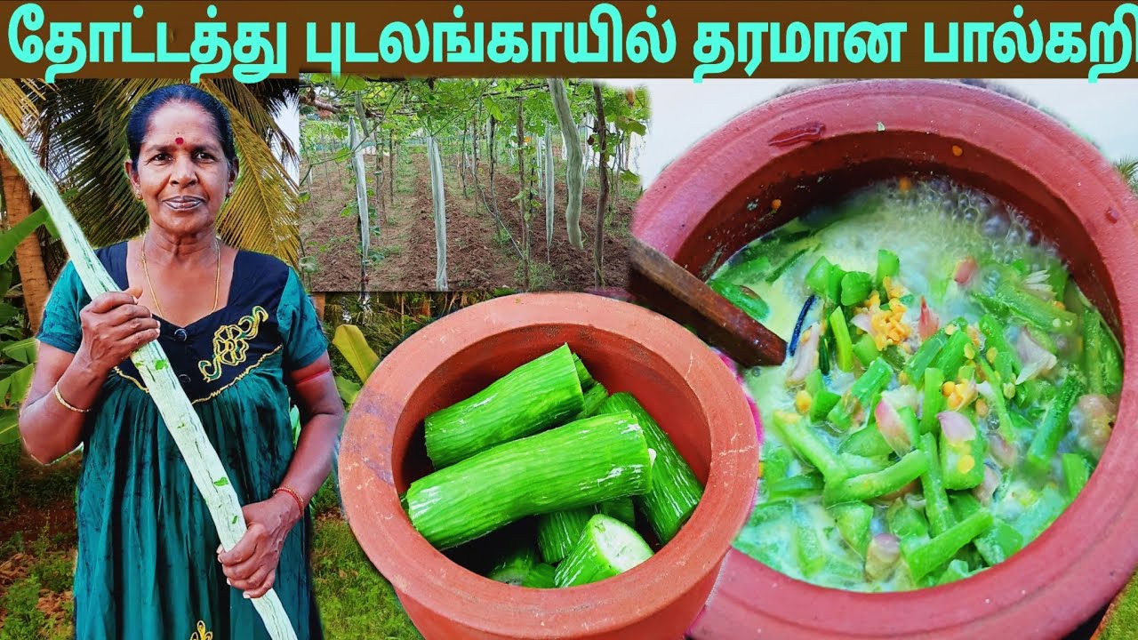 இப்படி கறி வைத்தால் சட்டியே காலியாகிடும் l village life 💚 vanni bro 