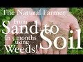 Fix Sandy Soil Using Weeds - John Kaisner The Natural Farmer