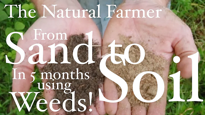 Fix Sandy Soil Using Weeds - John Kaisner The Natu...