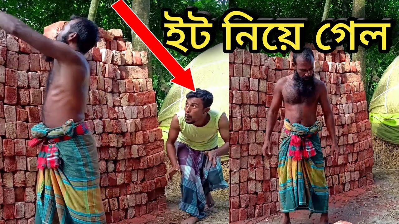 ইট নিয়ে গেল। ফানি ভিডিও
