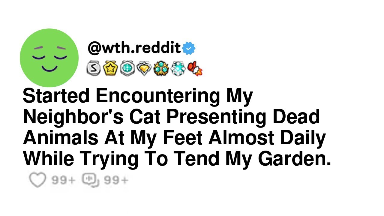 Picture of Started Encountering My Neighbor's Cat Presenting Dead Animals At My ...