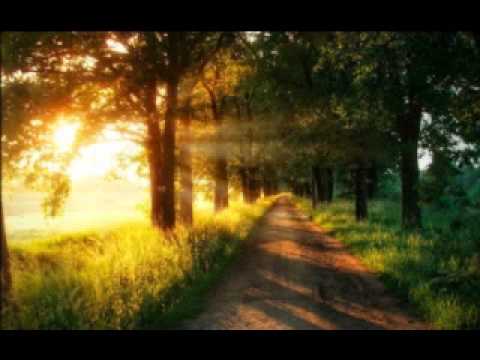Aavepyörä - Beyond The Veil of Sleep