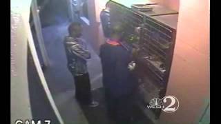 Surveillance Captures Dog Nappers On Camera