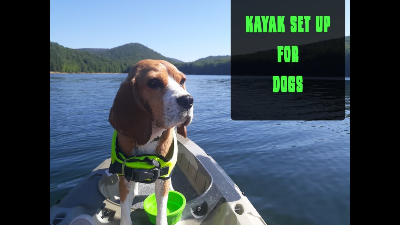 Kayak Set Up For Dogs