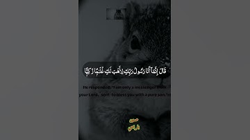 سوره مريم القارئ ياسر الزيلعي