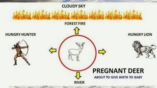 The Pregnant Deer - A short story