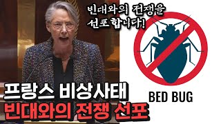 빈대로 패닉에 빠진 프랑스