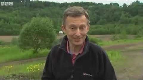 New Common Ancestor Found (Evolution)