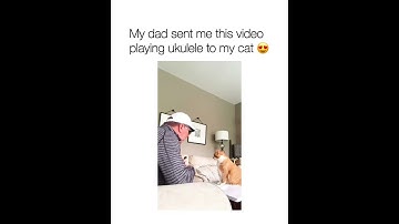 Thumbnail of My Dad Send Me This Video Playing  Ukulele To My Cat