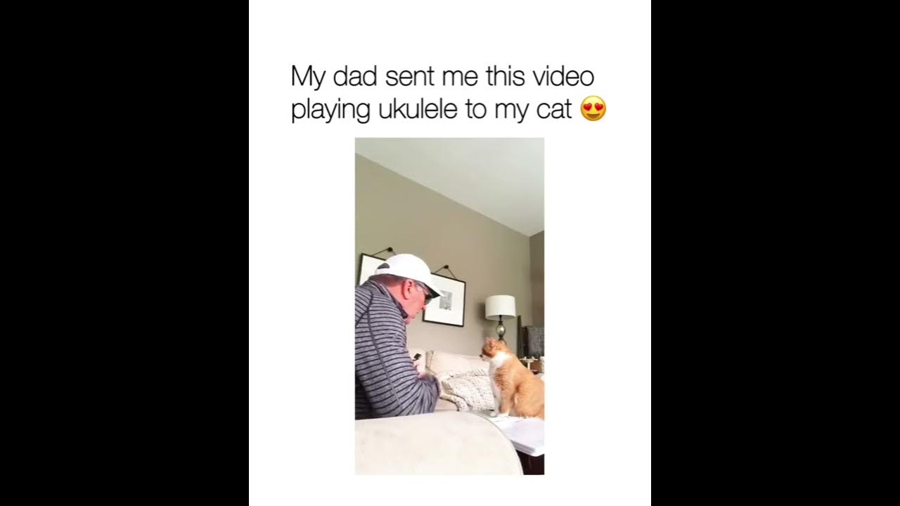 My Dad Send Me This Video Playing  Ukulele To My Cat