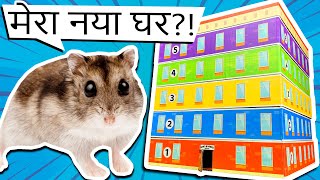 हम्सटर के लिए विशाल घर Tapi | भूलभुलैया 5 मंजिल | DIY