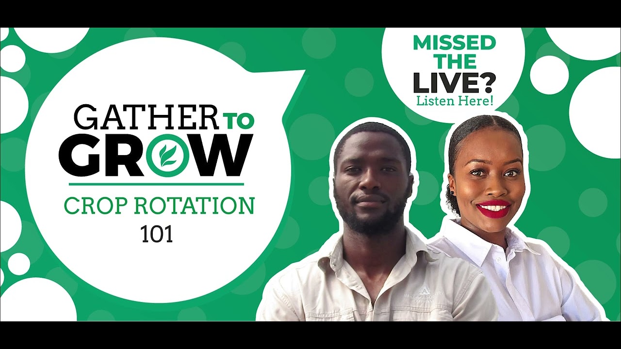 Crop Rotation 101 | Gather to Grow - YouTube