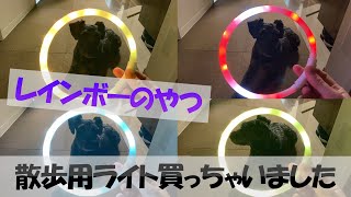 犬用の夜間散歩セーフティライトを買ってみたら凄かった♪