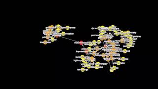Cytoscape.js tumblr reblogs