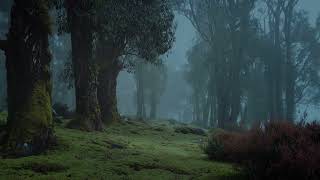Echoes of Forgotten Rain ⛈️ Quiet Misty Forest Rain & Gentle Thunder (No Music)