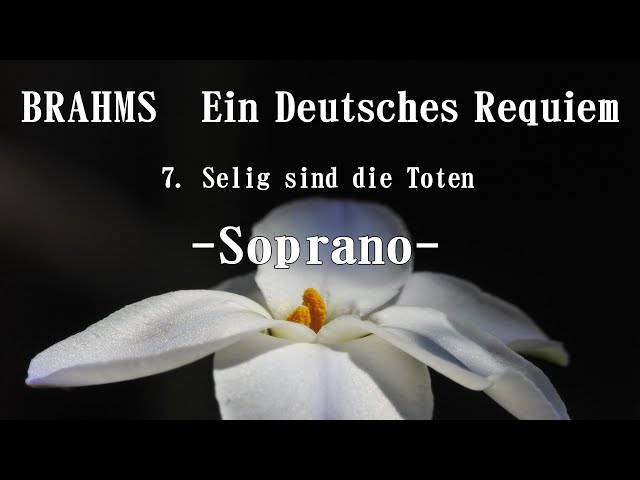 ブラームス 「ドイツ・レクイエム」より 7．Selig sind die Toten