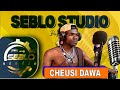 CHEUSI DAWA HARUSI KWA MTUNZA SIRI By Seblo Studio 2025