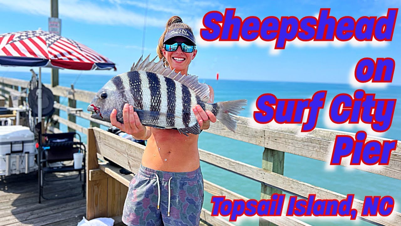 I caught my BIGGEST Sheepshead on Surf City Pier!