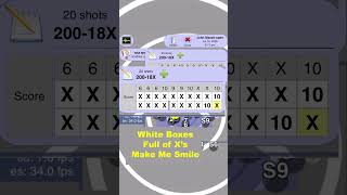 Do you look at targets like this?
