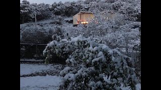 Wall to coverage of alamo city snowfall including the forecast, power
outages, kens 5 eyewitness pictures and videos, school closures for
friday.