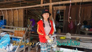 ติดฝนในลาวเอาชีวิตรอดด้วยอาหารรายทาง EP.28 ส้มปลาตองสูตรชนเผ่าเม่ยริมน้ำโขง และเห็ดปลวกริมทางเยอะมาก