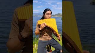 Gracias Seor    Instrumental Song  Panflute   Cristiana  By Carlos Salazar